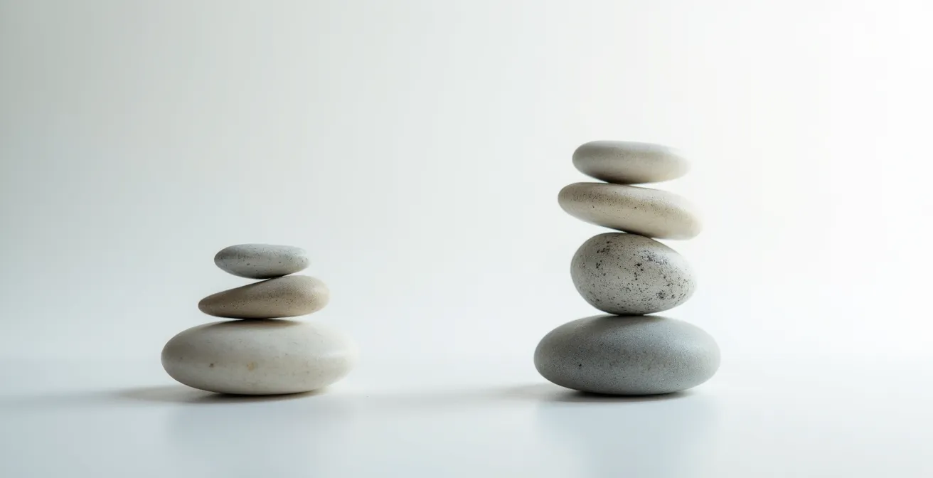 Composition minimaliste de pierres en équilibre symbolisant l'équilibre financier entre investissement et fonds de roulement